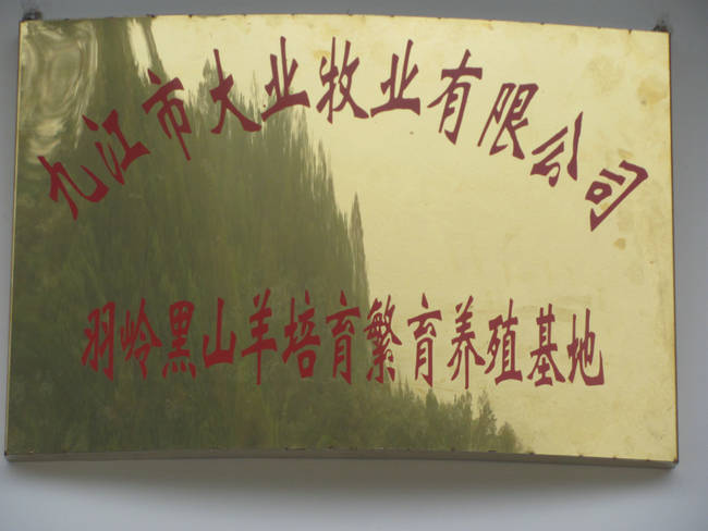 養(yǎng)殖場(chǎng)